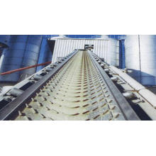 Herringbone Pattern Chevron Conveyor Belt